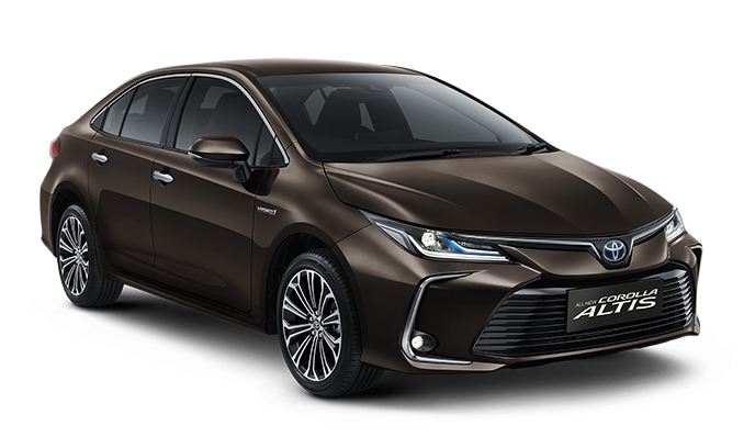 corolla hyb brown